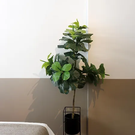 Ξενοδοχείο με διαμερίσματα Ermass Modern Living Αθήνα